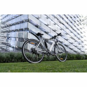 Elektrisches Fahrrad Youin BK1500 NEW YORK 29 250W